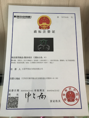核定使用商品/服务项目(国际分类:9)
